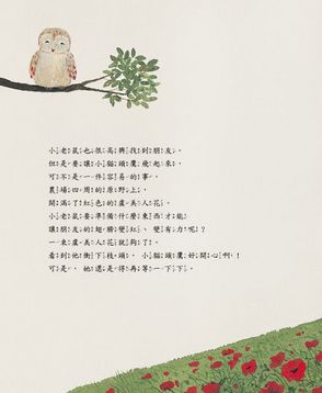 紅翅膀貓頭鷹